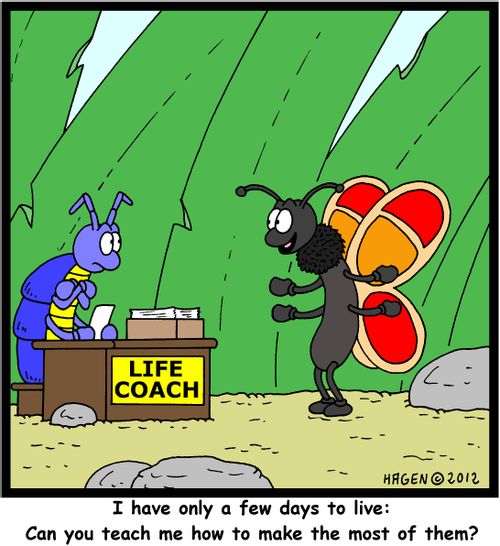 'I have only a few days to live: Can you teach me how to make the most of them?'