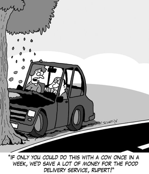 'If only you could do this with a cow once in a week, we'd save a lot of money for the food delivery service, Rupert!'