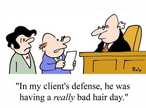 'In my client's defense, he was having a REALLY bad hair day.'
