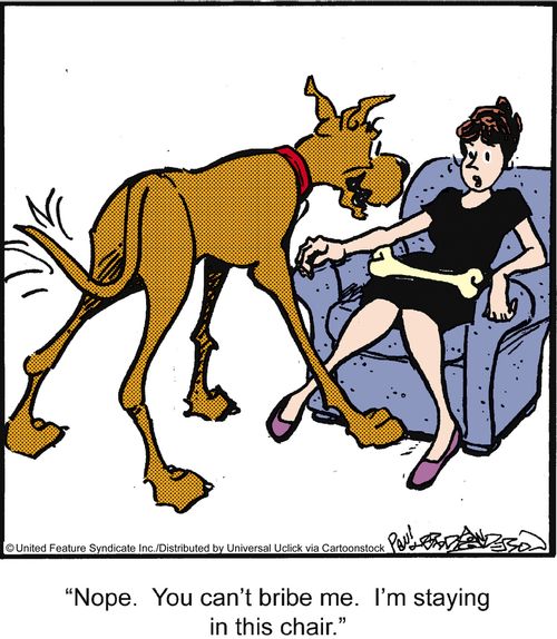 'Nope, You can't bribe me, I'm staying in this chair,'