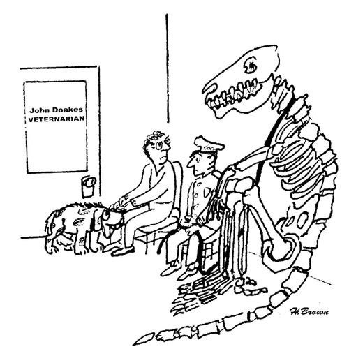 Dinosaur in the vet's waiting room.