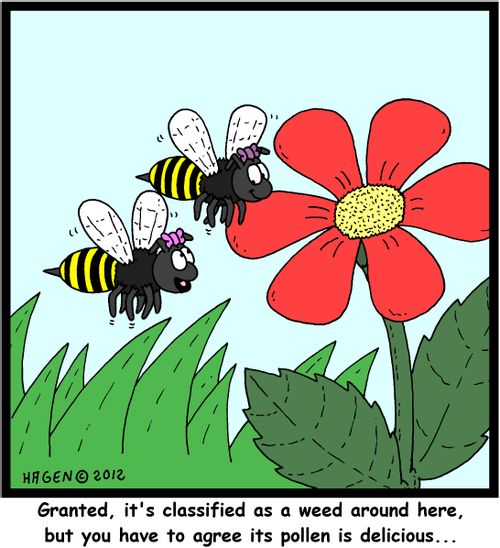 'Granted, it's classified as a weed around here, but you have to agree its pollen is delicious...'