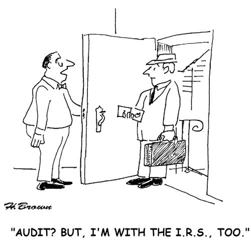 The auditor gets audited.