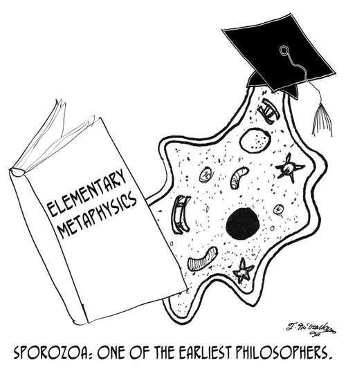 Sporozoa: One of the earliest philosophers.