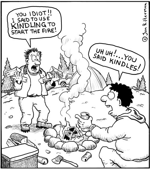 'You idiot!! I said to use kindling to start the fire!'