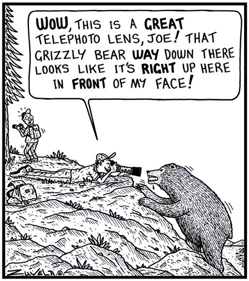 'WOW, this is a GREAT Telephoto Lens, Joe! That Grizzly bear WAY down there looks like it's Right up here in FRONT of my face!' 