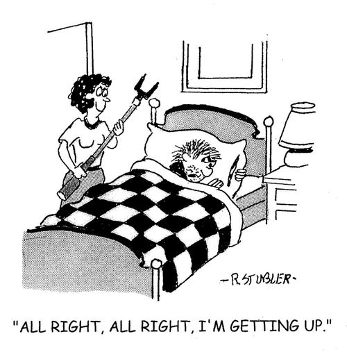 'All right, all right, I'm getting up.'
