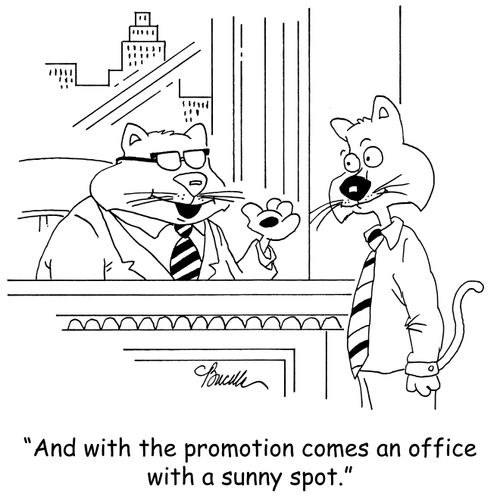 'And with this promotion comes an office with a sunny spot.'