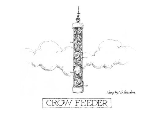 Crow Feeder.