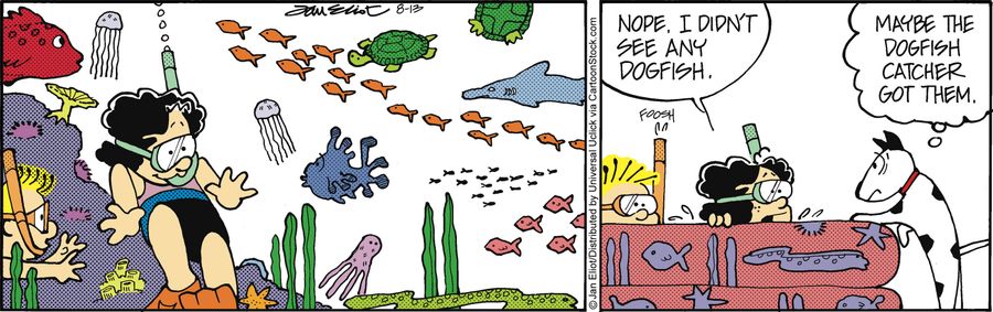 'Nope. I didn't see any dogfish.'