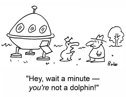 'Hey, wait a minute â€ you're not a dolphin!'