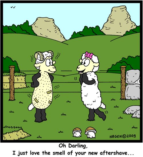 'Oh Darling, I just love the smell of your new aftershave...'