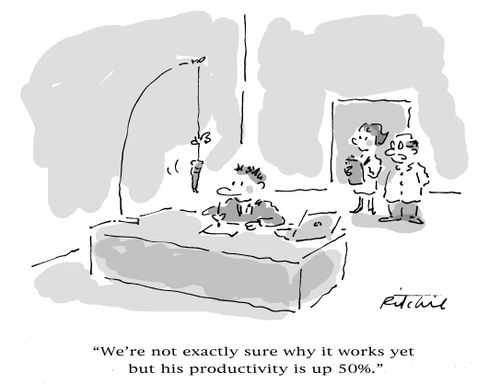 'We're not exactly sure why it works yet but his productivity is up 50.'