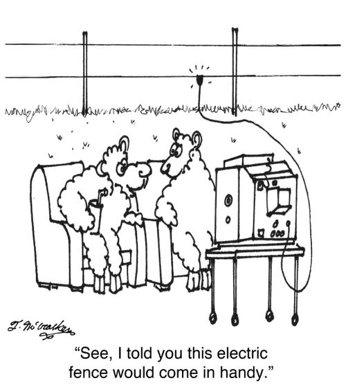 'See, I told you this electric fence would come in handy.'