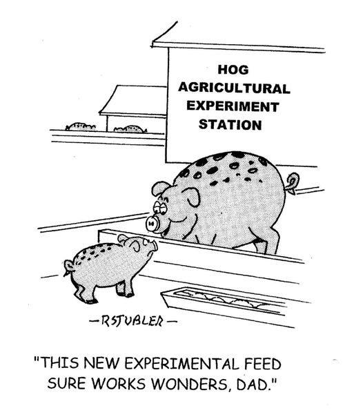 'This new experimental feed sure works wonders,Dad.'
