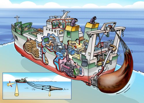 Cutaway drawing of pelagic trawler.