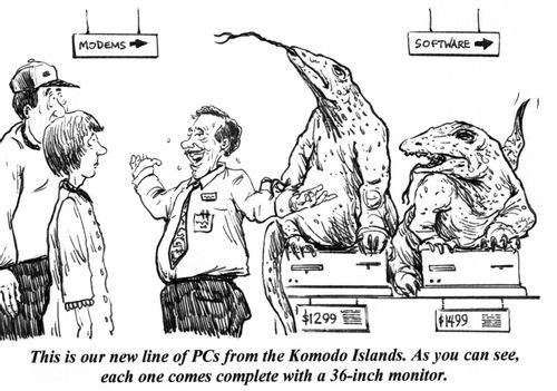'This is our new line of PCs from the Komodo Islands. As you can see, each one comes complete with a 36-inch monitor.'