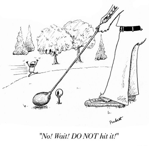 'No! Wait! DO NOT hit it!'