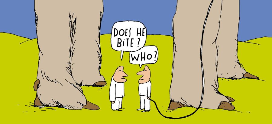 'Does he bite?'