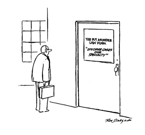 Divorce Cases Our Speciality.