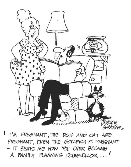 'I'm pregnant, the dog and cat arepregnant,even the gold fish is pregnant - it beats me how you ever became a family planning counsellor...'