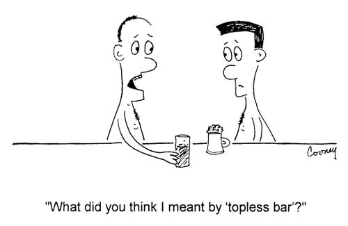 "What did you think I meant by 'topless bar'?"