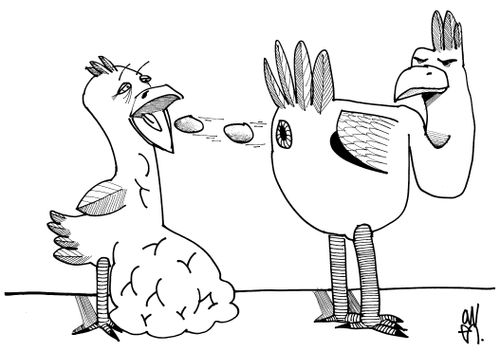 Chicken Feed
