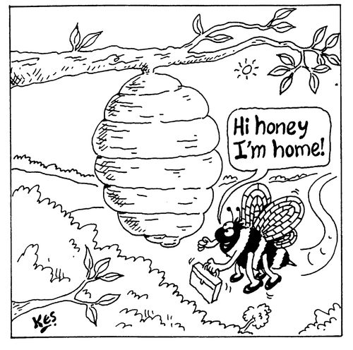 "Hi Honey, I'm home"