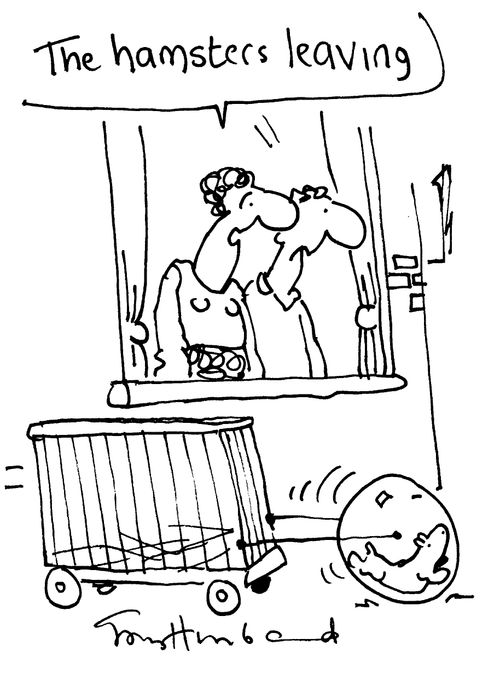 Hamster using it's wheel to pull it's cage along, "The hamster's leaving"
