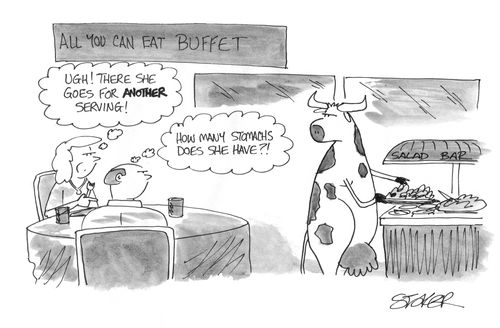 Cow at an all-you-can-eat buffet: 'How many stomachs does she have?!'