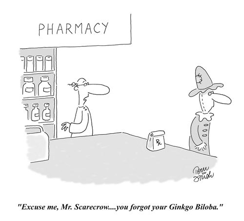 'Excuse me, Mr. Scarecrow....you forgot your Ginkgo Biloba.'