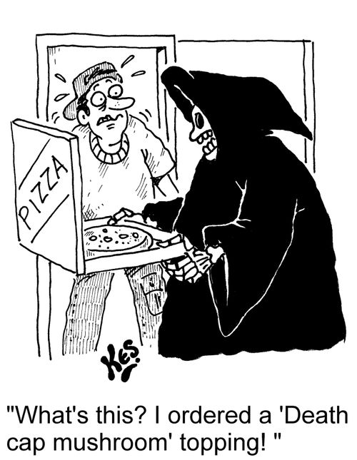 'What's this? I ordered a 'Death cap mushroom' topping!'