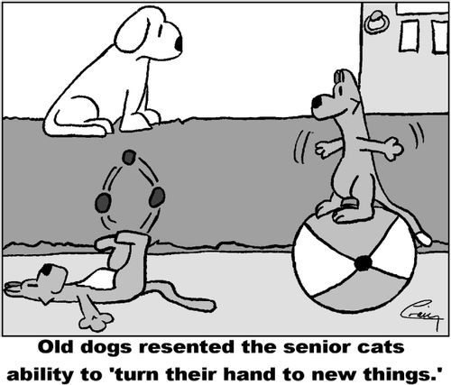 Old dogs resented the senior cats ability to 'turn their hand to new things'.