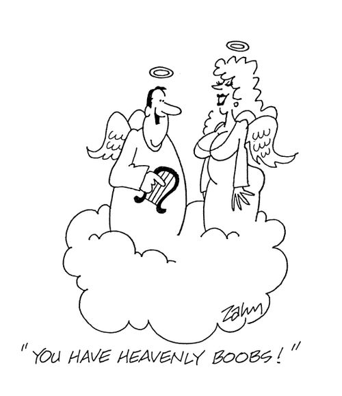 'You have heavenly boobs!'