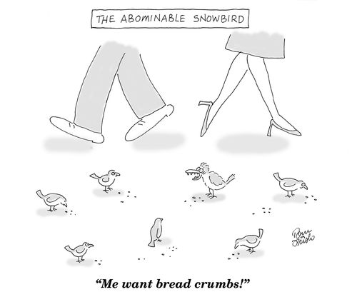 The Abominable Snowbird - 'Me want bread crumbs!'
