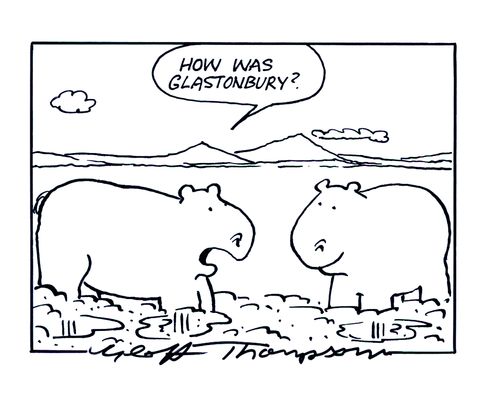'How was Glastonbury?' (Hippos).