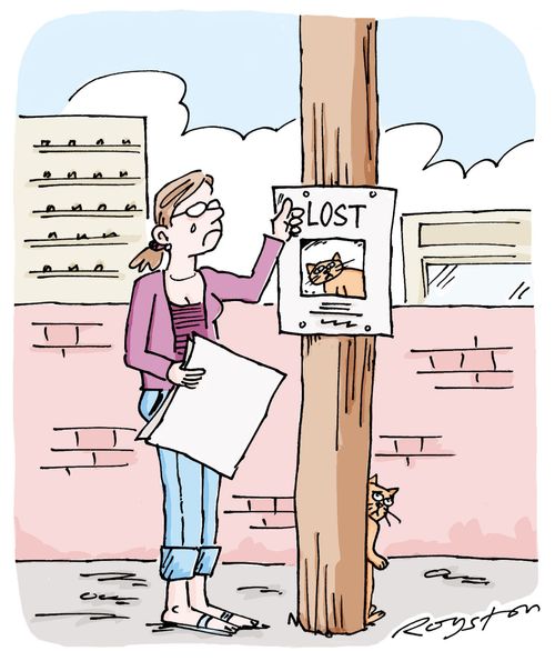 Woman pins up a Lost Cat poster on a telegraph pole, but the cat is hiding from her behind the pole.