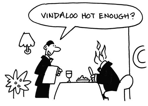"Vindaloo hot enough?"