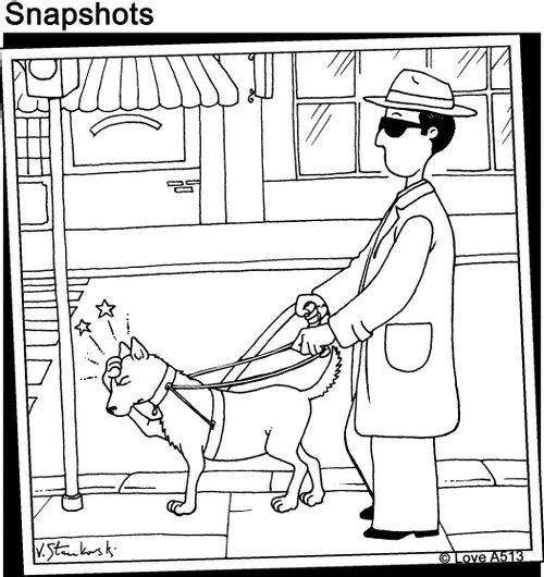 Guide Dog walks into a lamp-post.