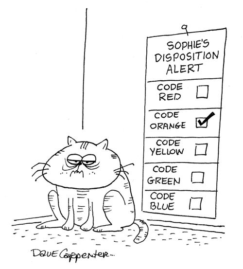 Sophie's Disposition Alert - Code Orange.