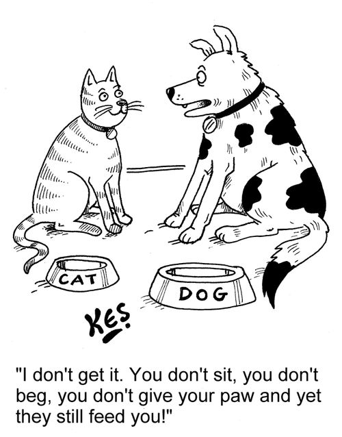'I don't get it. You don't sit, you don't beg, you don't give your paw and yet they still feed you!'