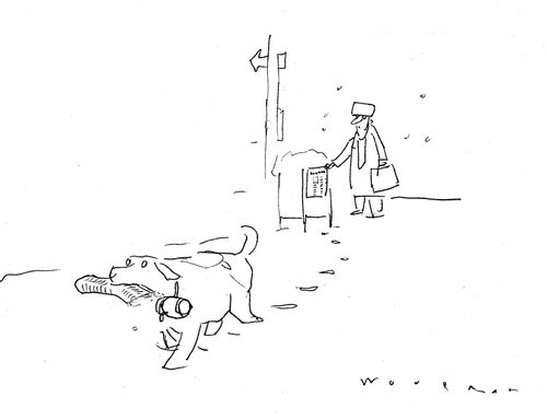 Dog taking newspaper from post box.