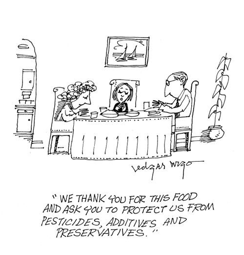 'We thank you for this food and ask you to protect us from pesticides, additives and preservatives.'