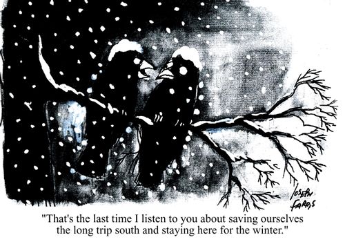 'That's the last time I listen to you about saving ourselves the long trip south and staying here for the winter.'