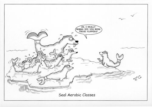 Seal Aerobic Classes.