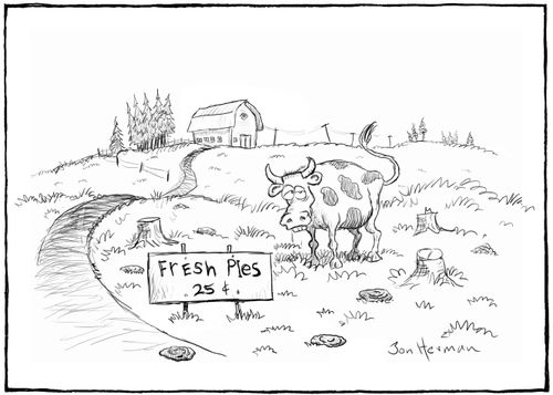 Cowpies for Sale.