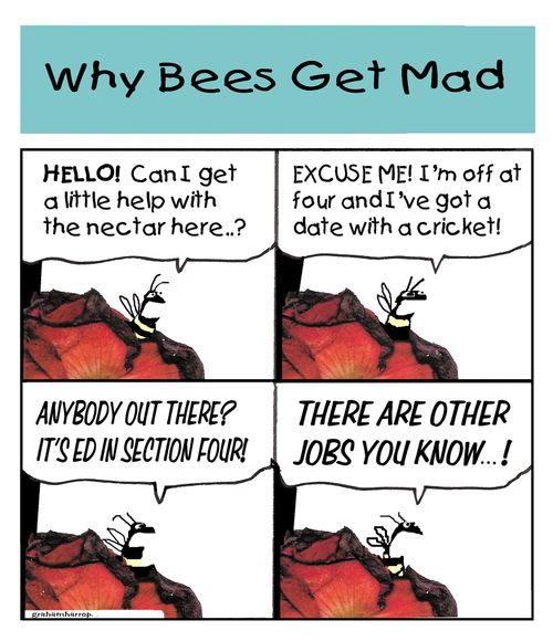 Why bees get mad...