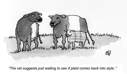 The vet suggests just waiting to see if plaid comes back into style.