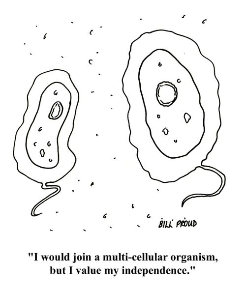 'I would join your multi-cellular organism, but I value my independence.'