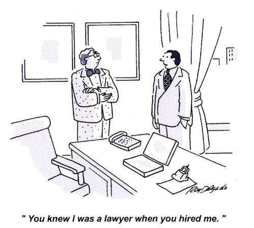 'You knew I was a lawyer when you hired me.'